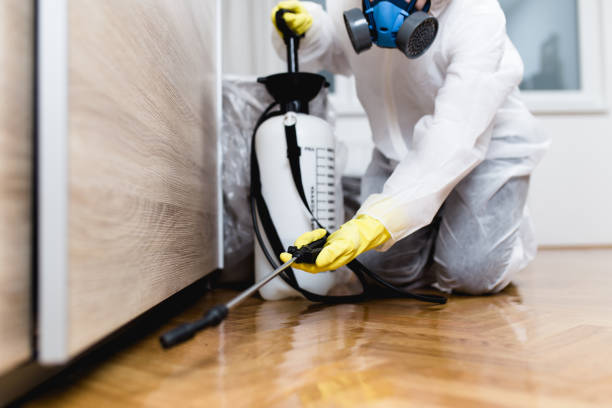 Best Pest Control Near Me in Lake Oswego, OR