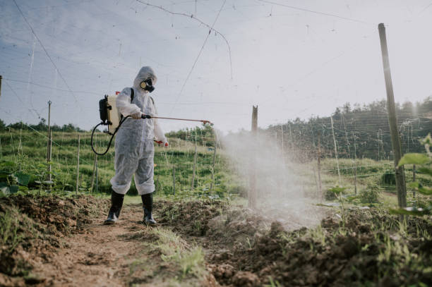 Pest Control Cost in Lake Oswego, OR