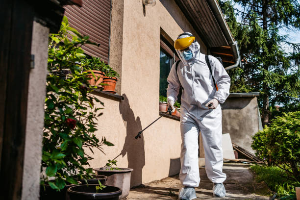 Pest Prevention Services in Lake Oswego, OR