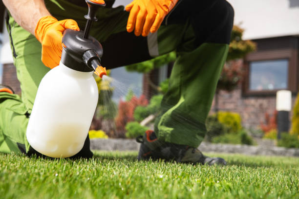 Professional Pest Control in Lake Oswego, OR