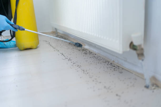 Best Affordable Pest Control Services  in Lake Oswego, OR