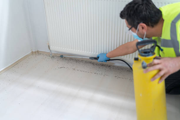 Best Best Pest Control Near Me  in Lake Oswego, OR